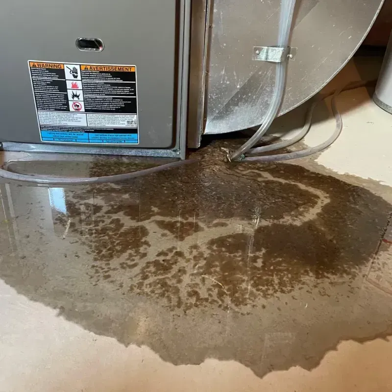 Appliance Leak Cleanup in Durham, CA